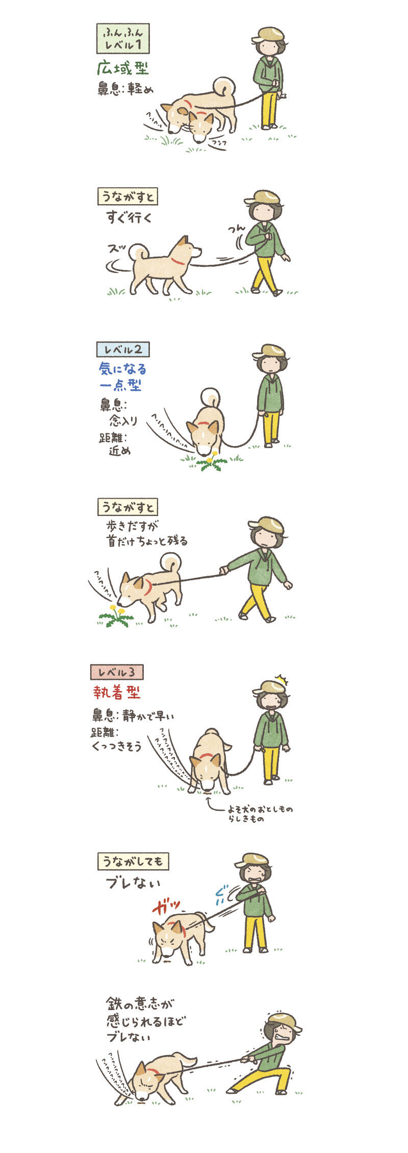 予約】 フンフン FUNFUN