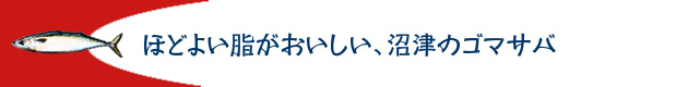 caba_komi02_02.jpg