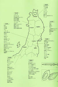tabinomikaku_map.jpg