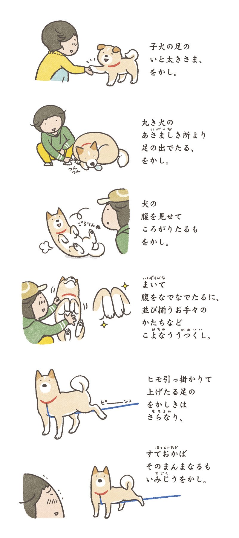 庭のざぶとん犬 第86回 犬草子 わんこのそうし